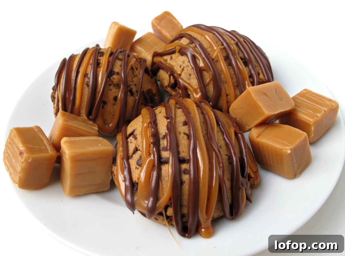 featured 1572
