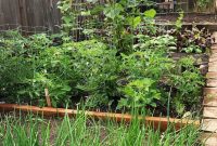 14 Garden Benefits That Will Make You Start One Today