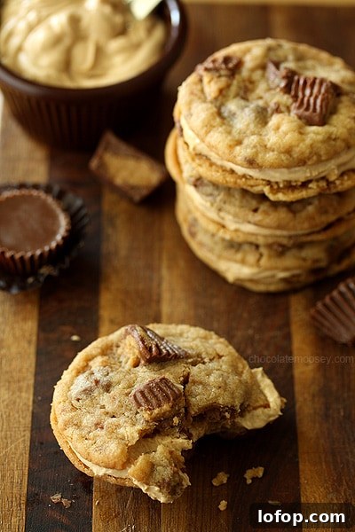 Peanut Butter Sandwich Cookies Recipe with Creamy Filling 5 Peanut Butter Cup Sandwich Cookies | www.chocolatemoosey.com