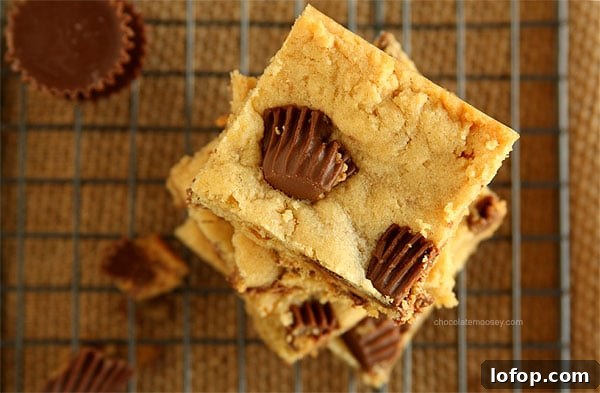Peanut Butter Sandwich Cookies Recipe with Creamy Filling 8 img 10016 7