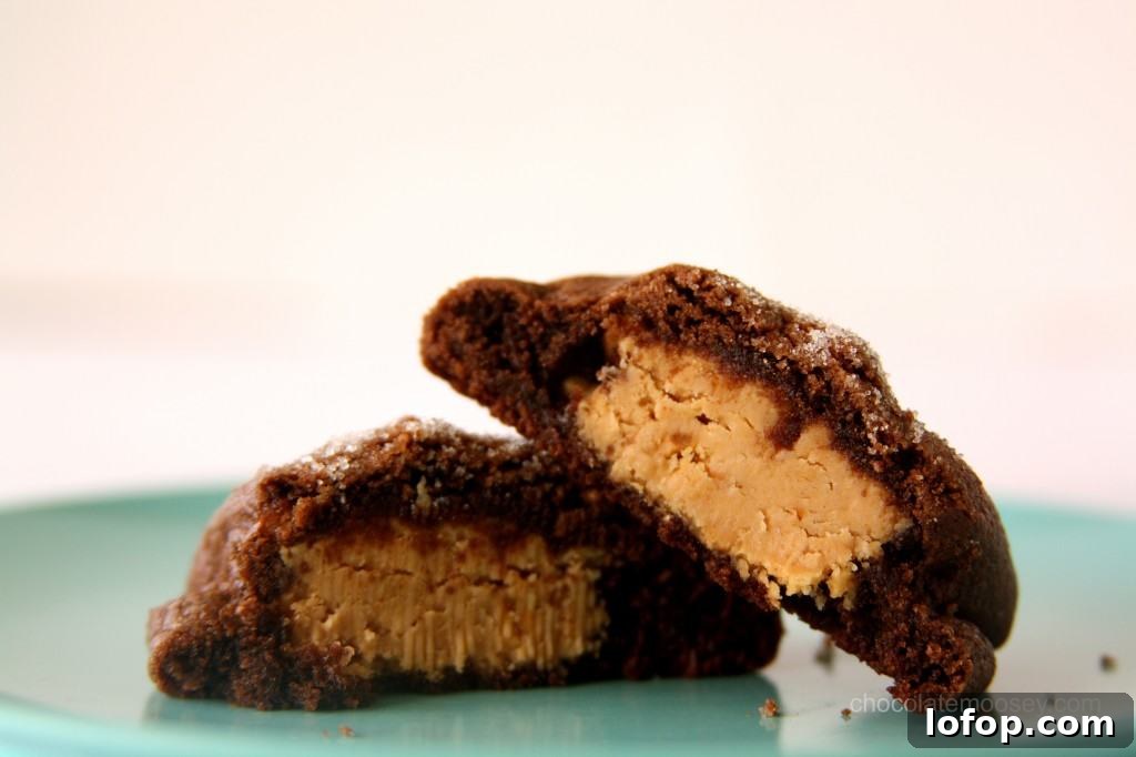 Peanut Butter Sandwich Cookies Recipe with Creamy Filling 10 img 10016 9