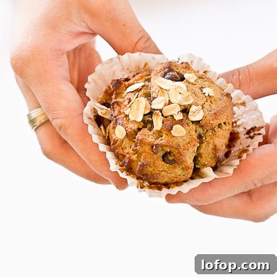 These Almond Butter Banana Oat Muffins are moist, satisfying, and have an delicious almond butter banana flavor. There is just enough chocolate in every bite to satisfy a sweet tooth. Flourless and gluten free.