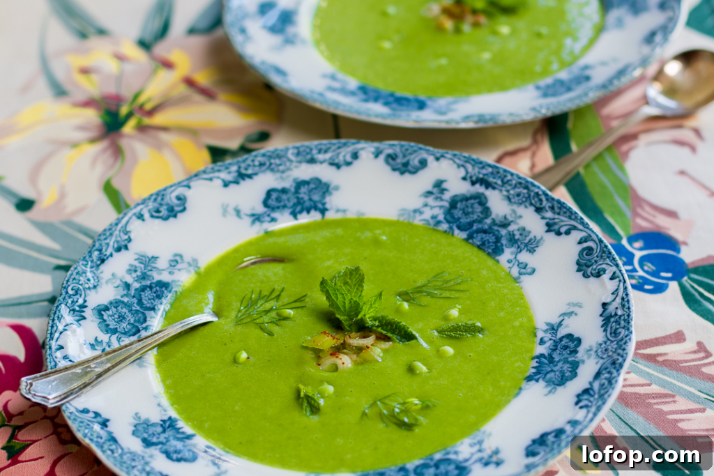 20 Favorite Zest for Life Soup Recipes You’ll Want to Try 14 Spring Minty Pea Soup