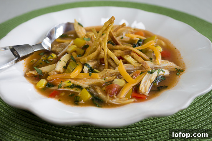 20 Favorite Zest for Life Soup Recipes You’ll Want to Try 17 Healthy Chicken Tortilla Soup