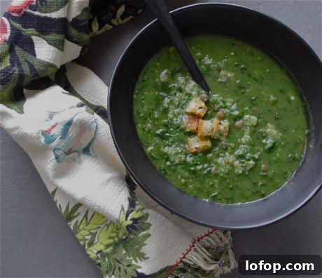 20 Favorite Zest for Life Soup Recipes You’ll Want to Try 19 Spinach and Lentil Soup