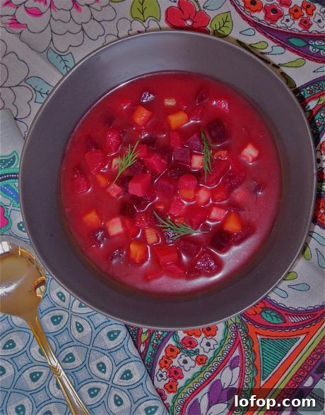 20 Favorite Zest for Life Soup Recipes You’ll Want to Try 21 Russian Borscht Soup