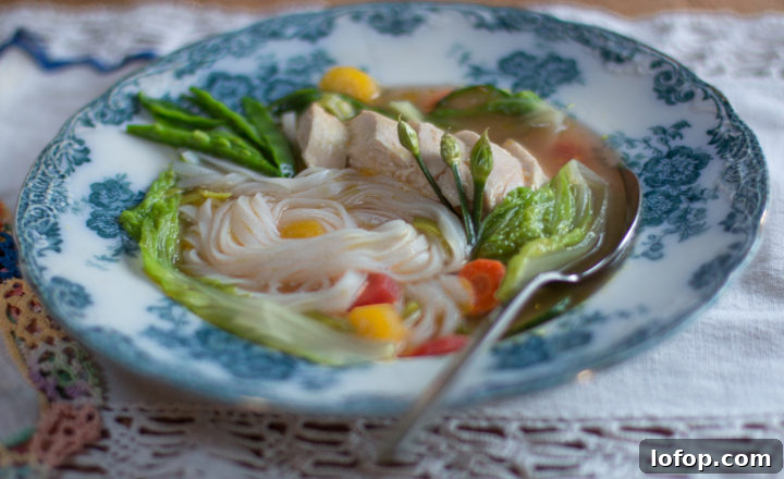 20 Favorite Zest for Life Soup Recipes You’ll Want to Try 8 Quick and Healthy Chicken Soup
