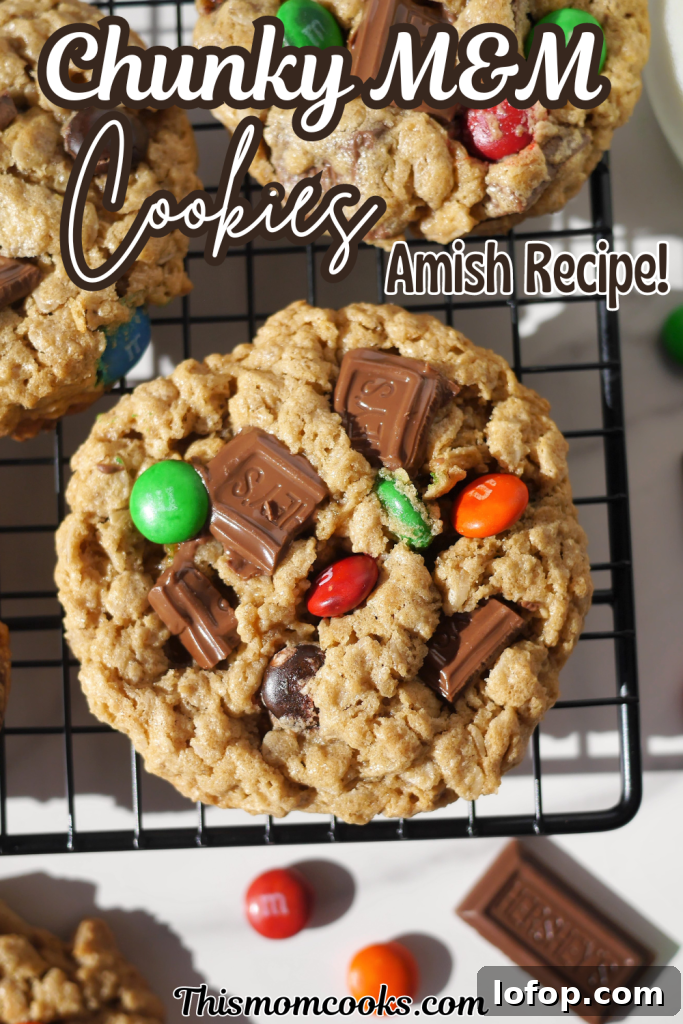 img 1071 6