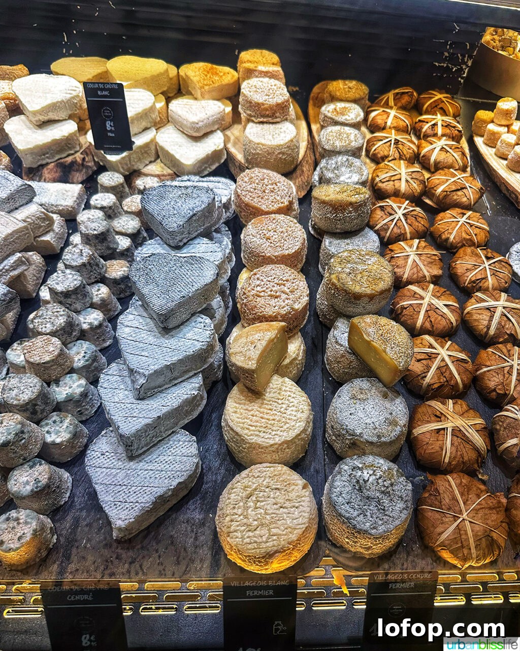various cheeses at les halles food market in lyon, france