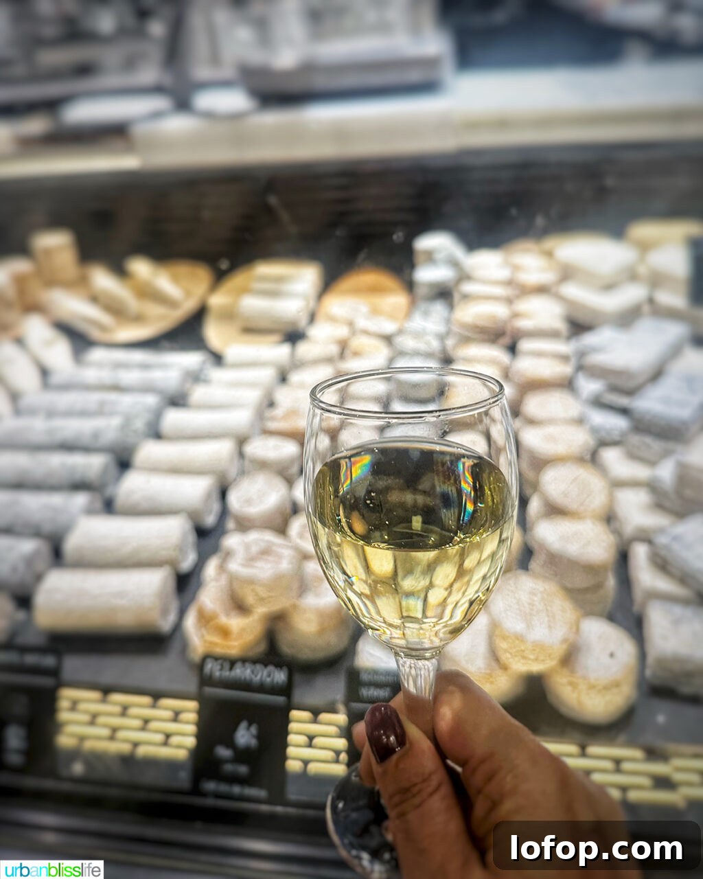 cheese counter at les halles food market in lyon, france