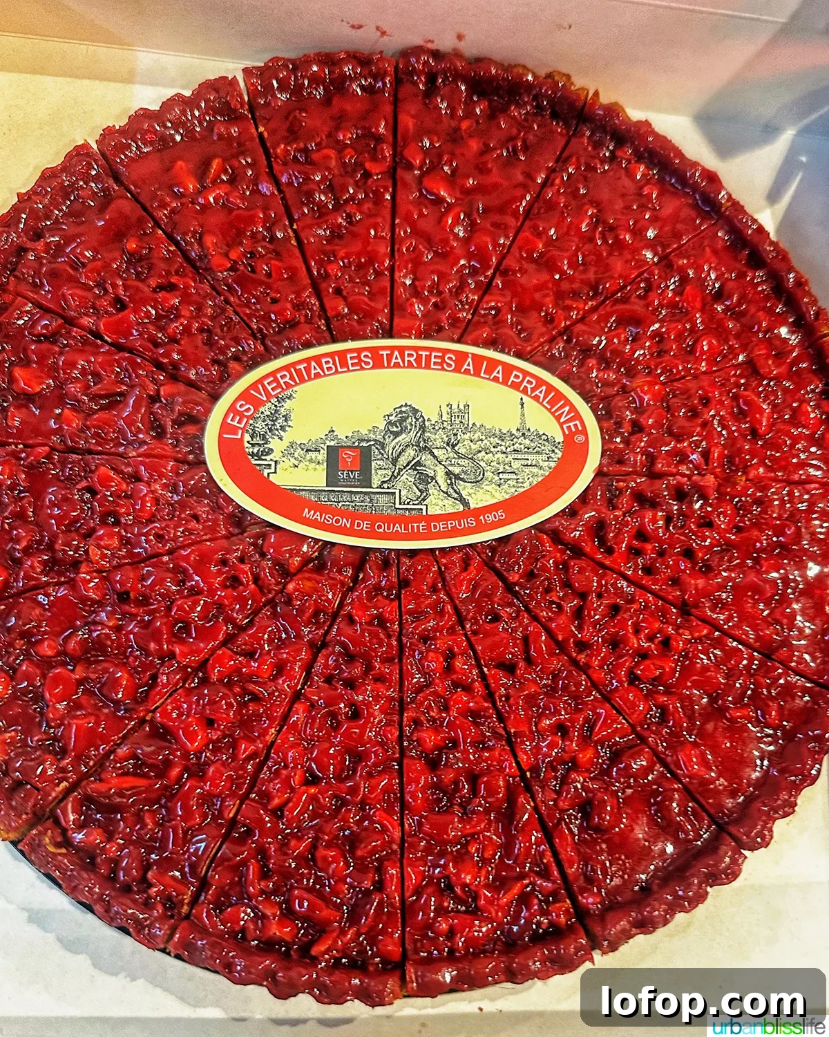 pink praline tart from Lyon - tarte aux pralines