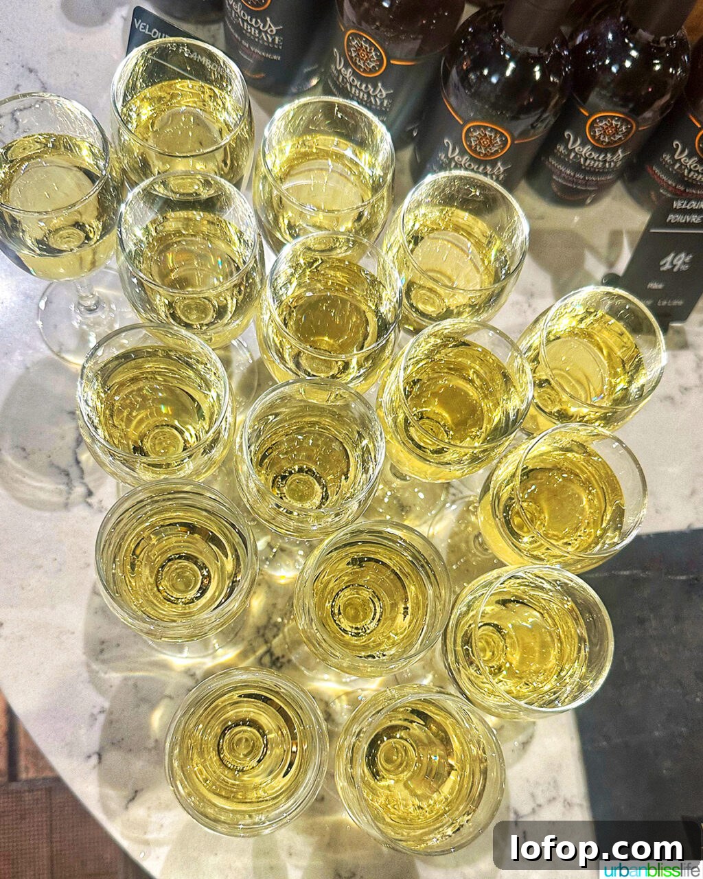 white wine in glasses
