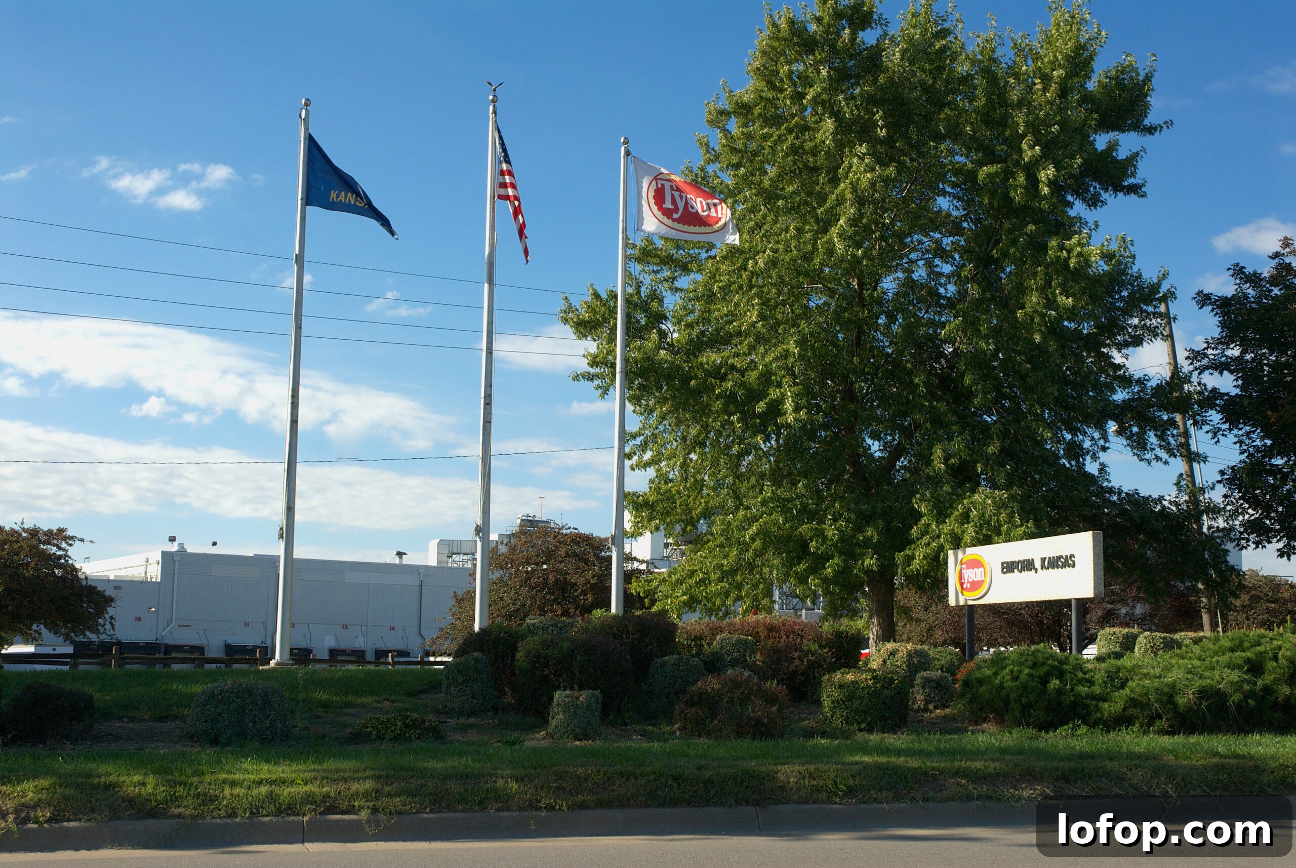 Tyson Launches New Food Brand in 450+ Texas Walmart Stores 2 Tyson's meat processing plant