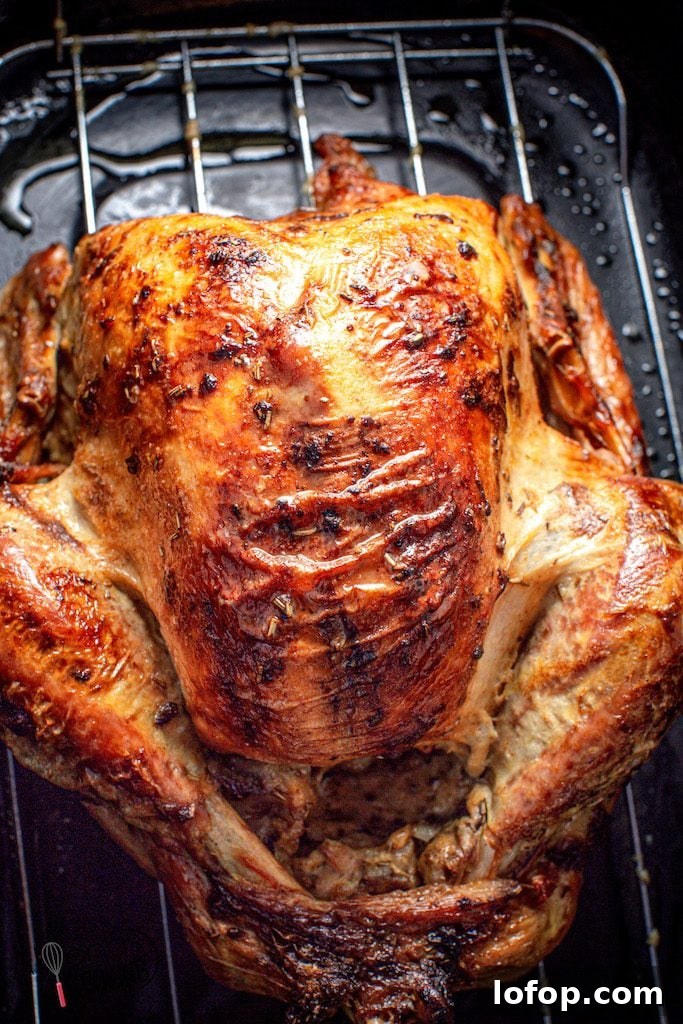 easiest-turkey-recipe