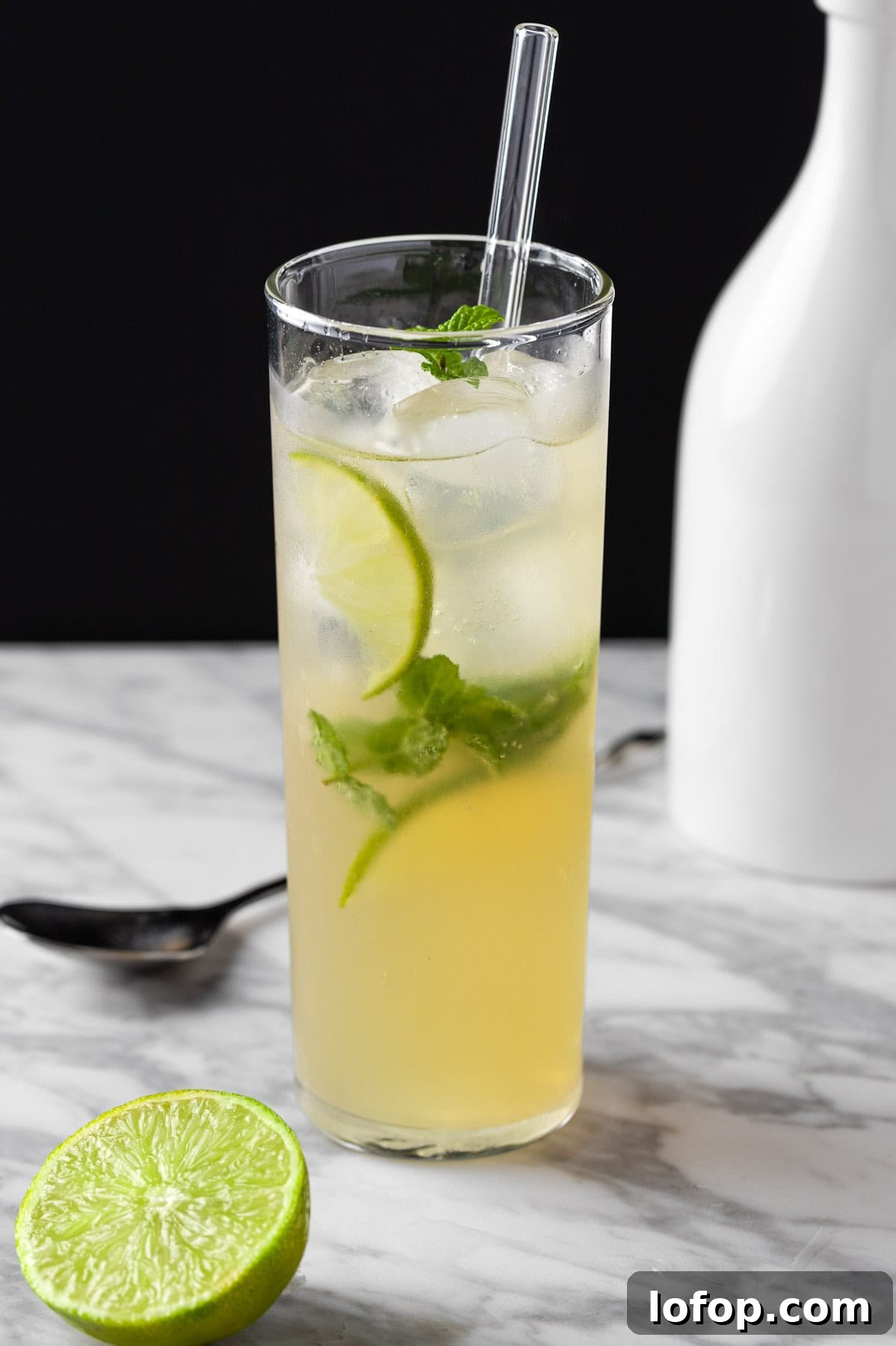 Ginger Ale Mojito Recipe: Refreshing Mint Cocktail Guide 2 A ginger ale mojito garnished with fresh mint and lime slices.