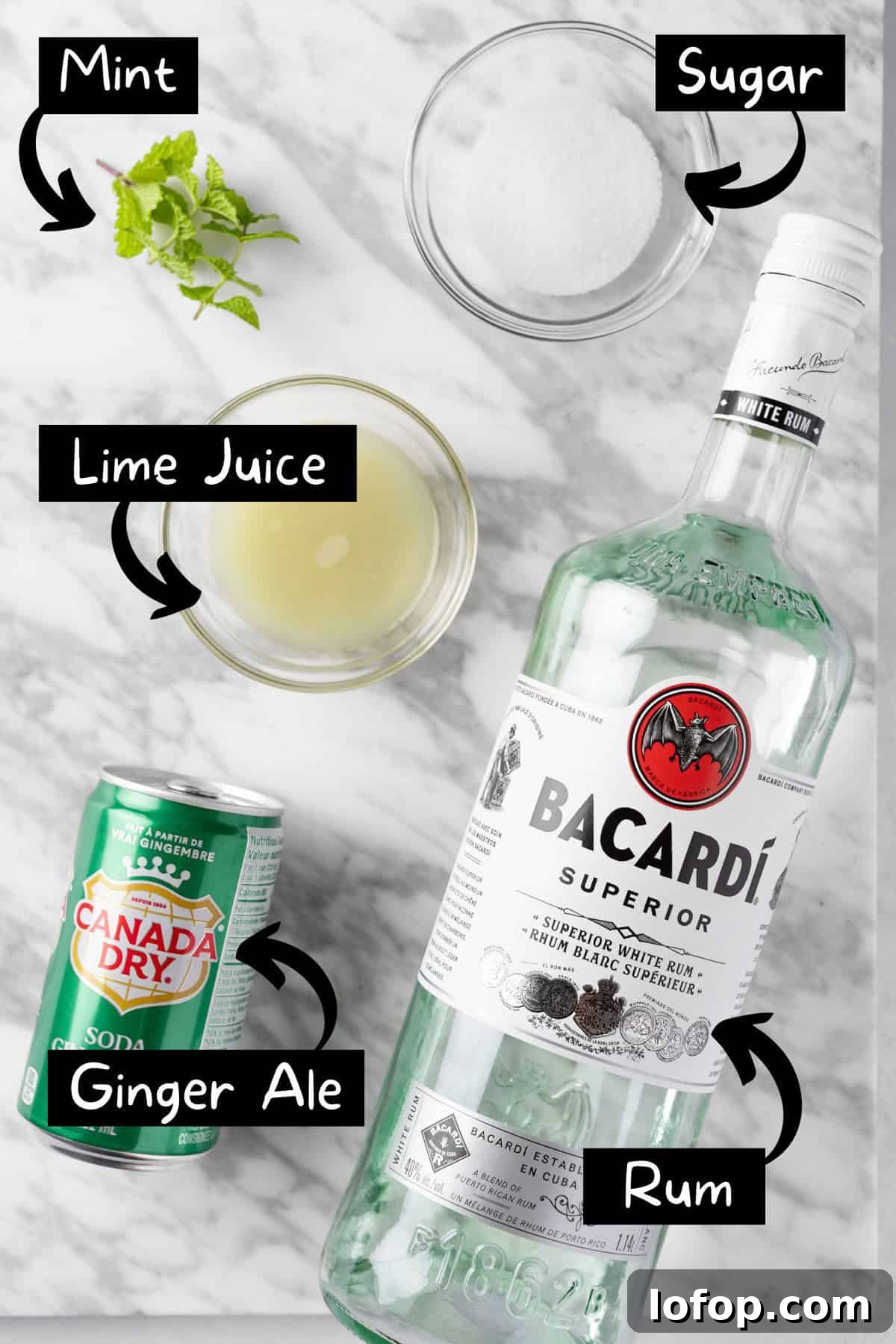 Ginger Ale Mojito Recipe: Refreshing Mint Cocktail Guide 3 The ingredients needed to make the ginger ale mojito.