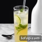 A ginger ale mojito garnished with fresh mint and lime slices.