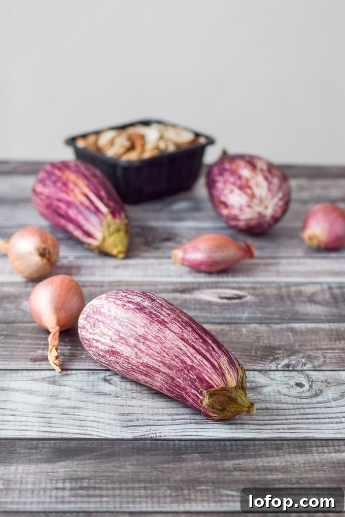Graffiti eggplant, shallots and mushrooms on a grey table