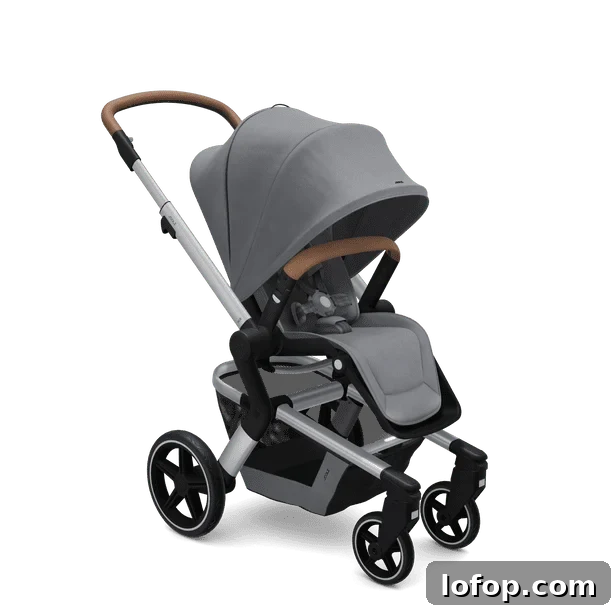 Non-Toxic Strollers Free of Flame Retardants and PFAS 15 pfas free strollers without flame retardants from joolz