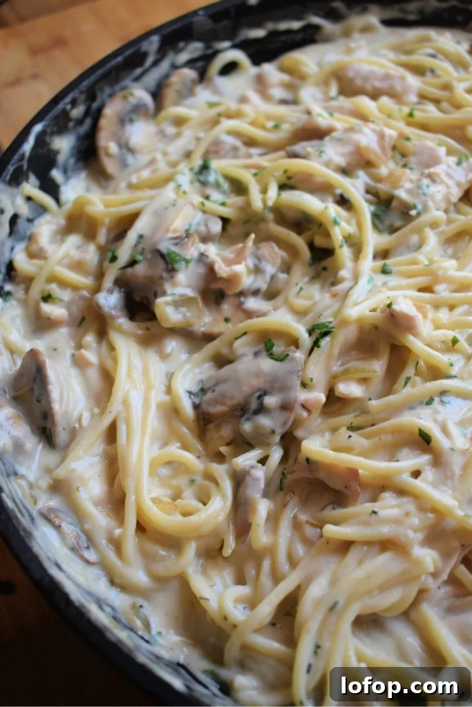 Close up of the classic Turkey Tetrazzini