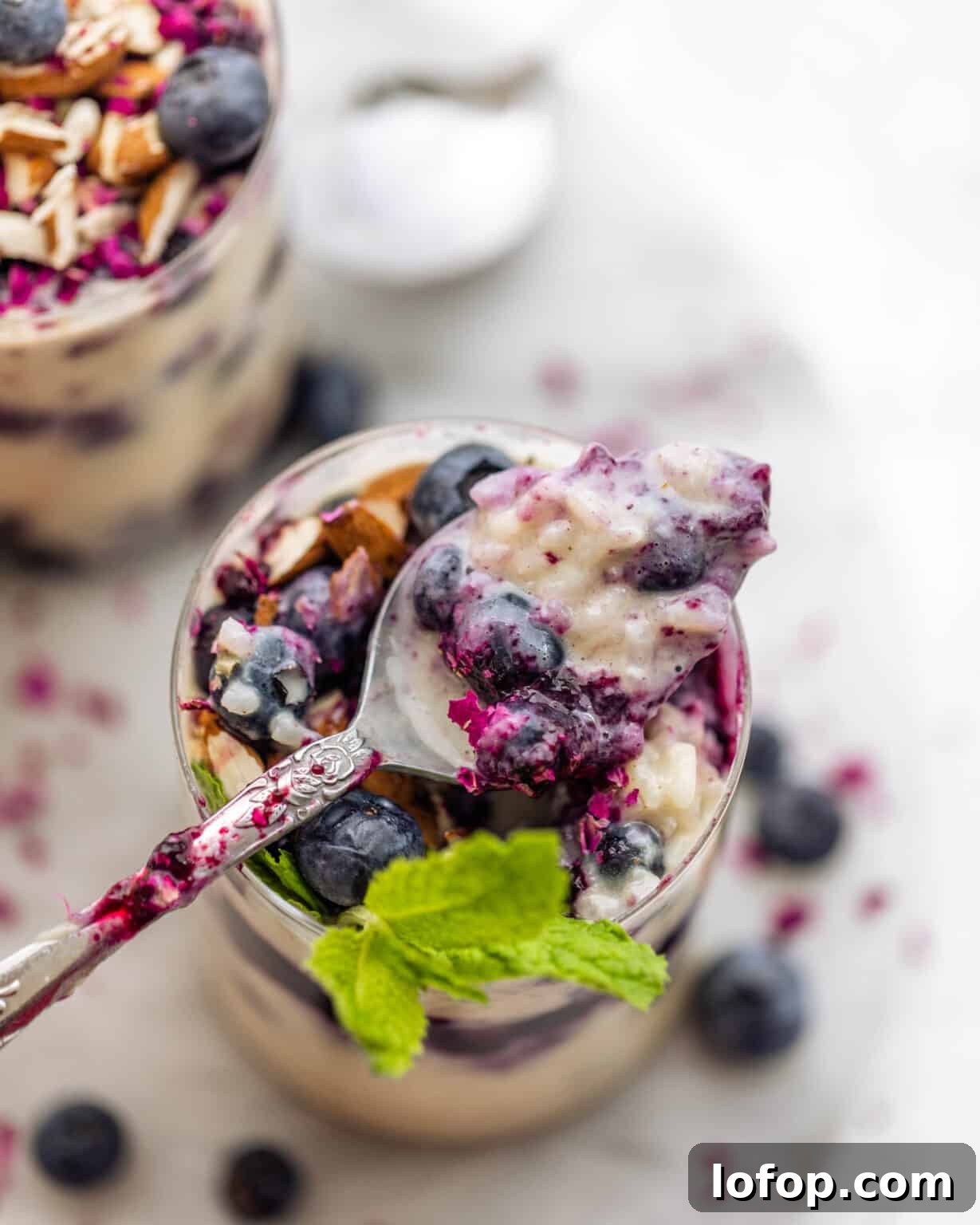 a spoon full of blueberries swirled into rice pudding