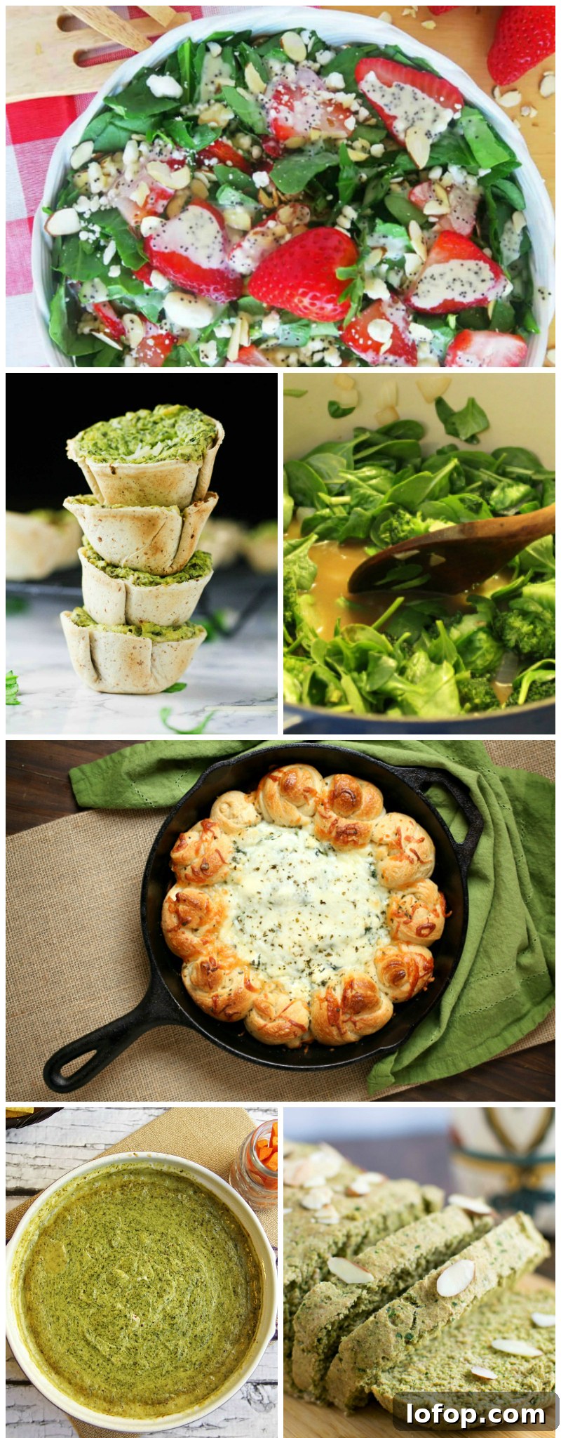 45 Recipes Made with Delicious and Nutritious Spinach