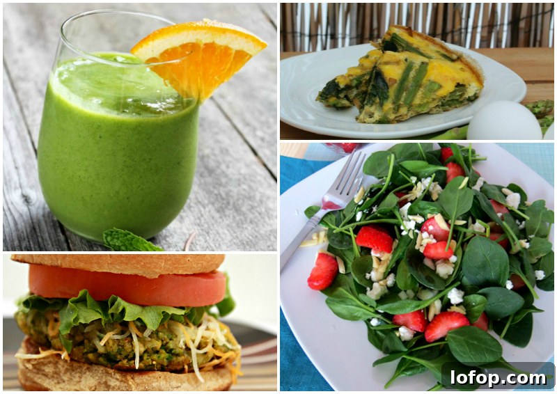 45 Recipes Made with Delicious and Nutritious Spinach