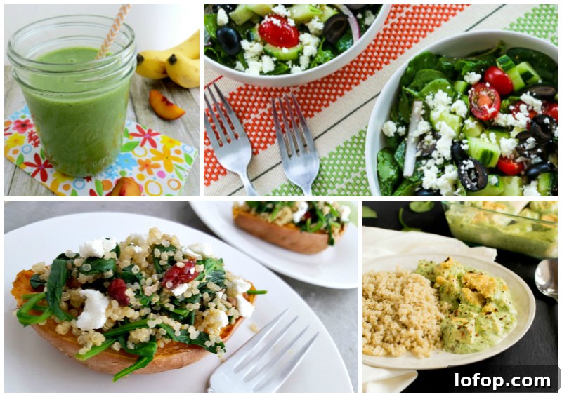 45 Recipes Made with Delicious and Nutritious Spinach