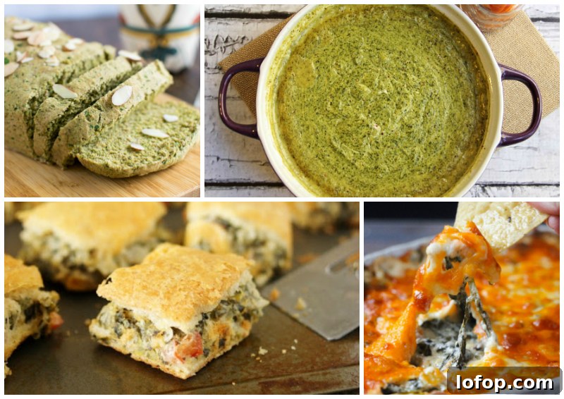 45 Recipes Made with Delicious and Nutritious Spinach