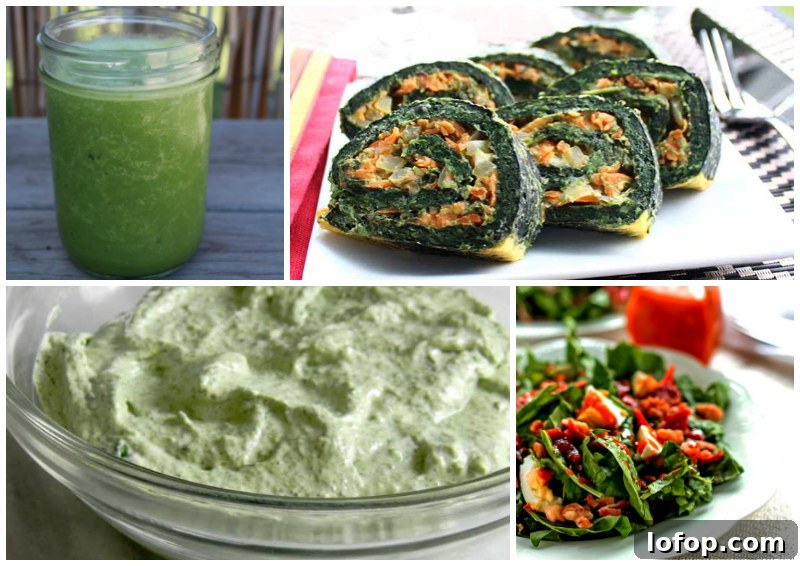 45 Recipes Made with Delicious and Nutritious Spinach