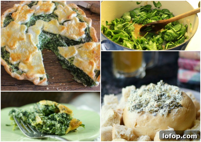 45 Recipes Made with Delicious and Nutritious Spinach