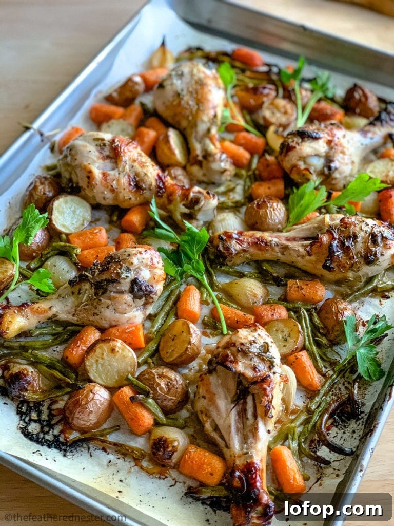 chicken drumsticks