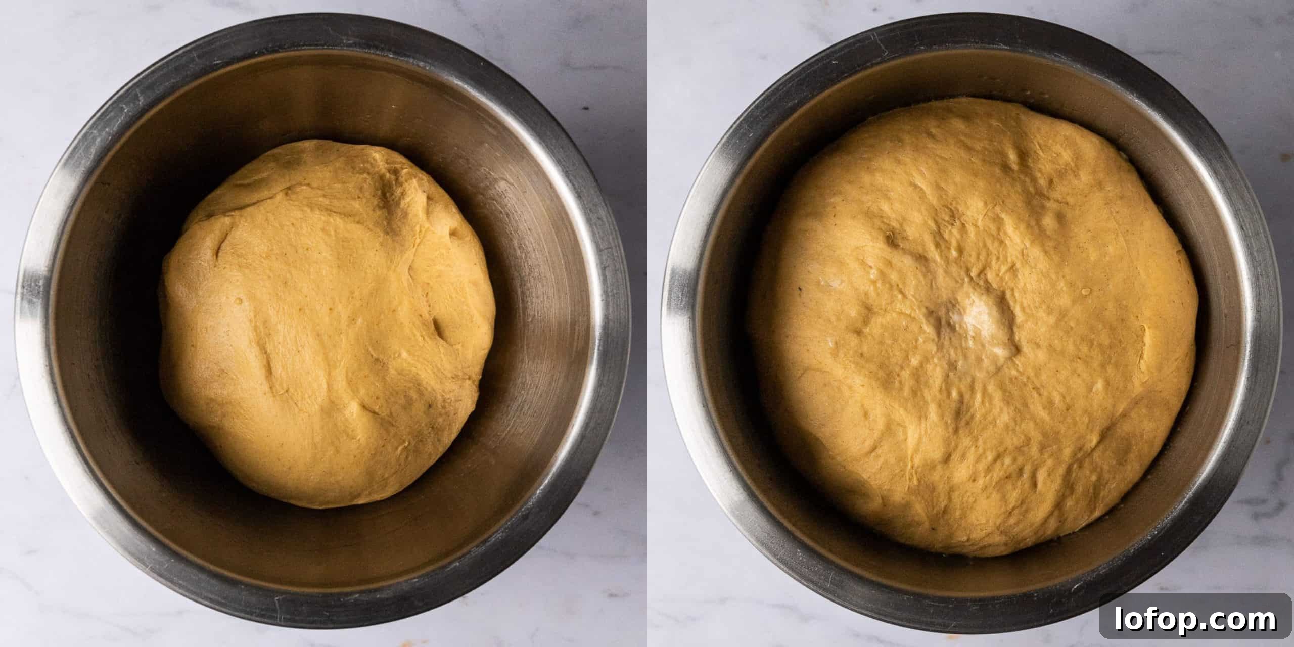 Step 2 - letting the dough rise.