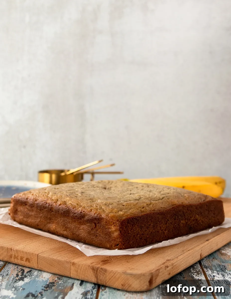 Moist Banana Snack Cake with Creamy Nutella Frosting 3 unfrosted banana snack cake