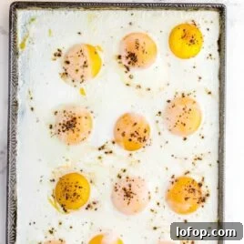 close up overhead shot of a sheet pan full of Sheet Pan Eggs