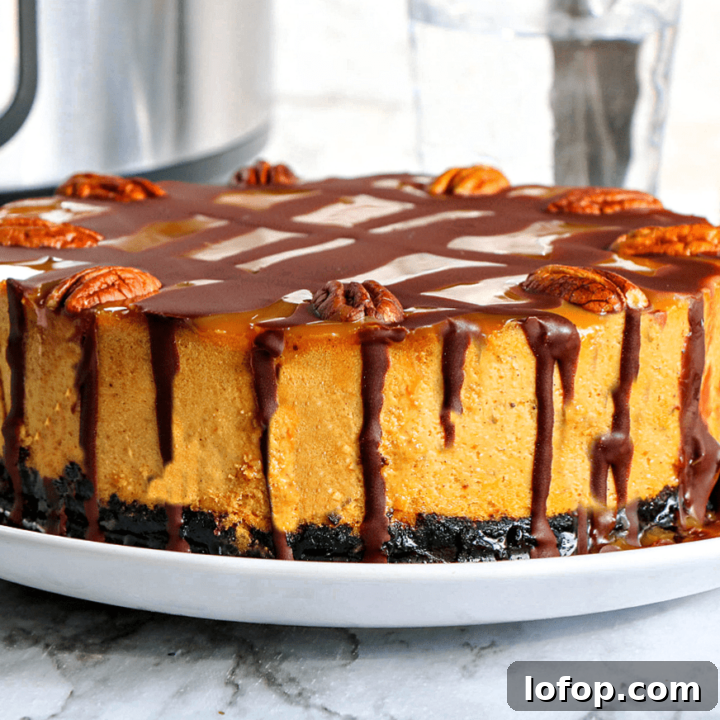 instant pot pumpkin turtle cheesecake on plate.