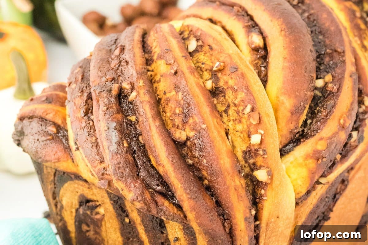 Close-up sideview of a loaf of twisted chocolate pumpkin babka bread with crushed hazelnuts - Hostess At Heart