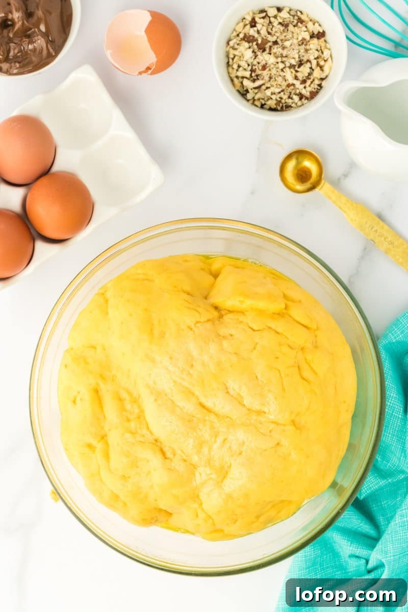 Top down view of a mixing bowl filled with soft pillowy babka bread dough - Hostess At Heart