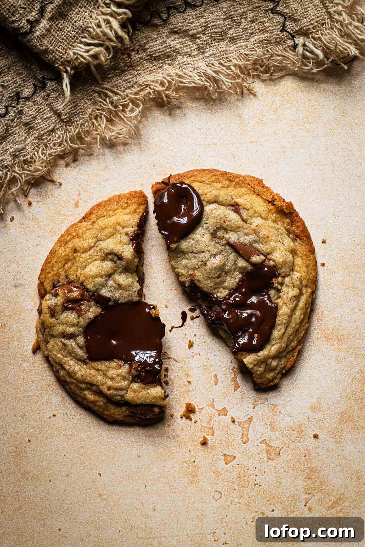chocolate chip cookie with melted chocolate