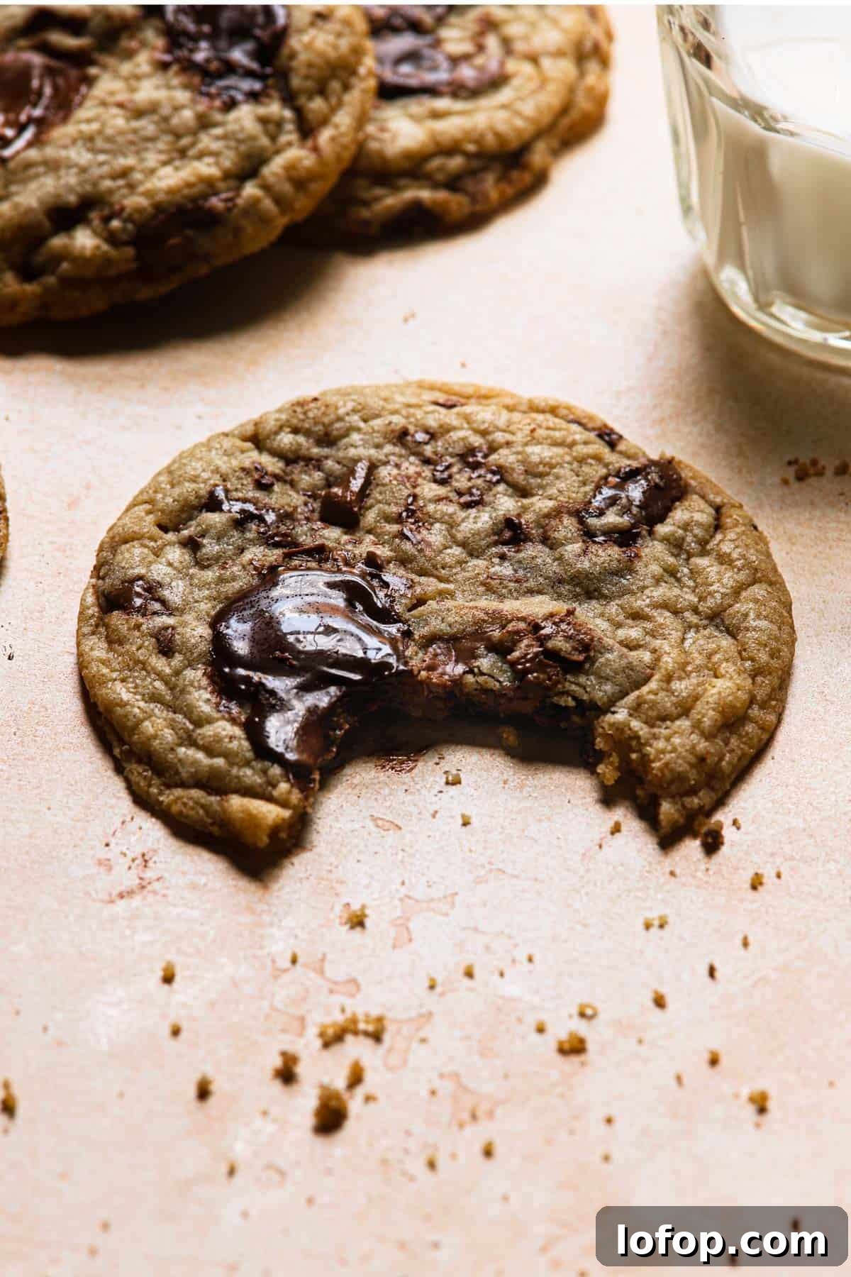 tender chocolate chunk cookie