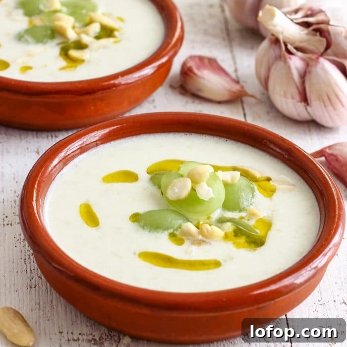 Spanish Ajoblanco Garlic Soup Image