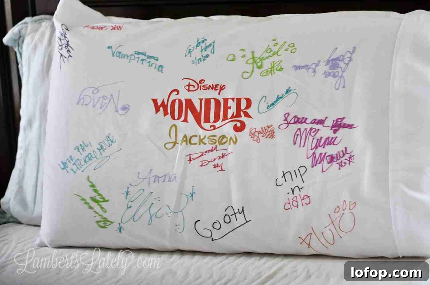 Disney Cruise Packing Checklist + Free Printable Guide 5 disney cruise autograph pillow.
