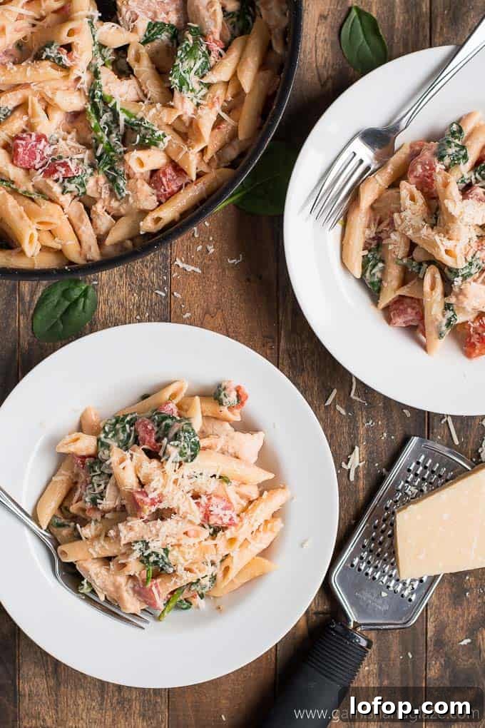 Family Dinner Meal Plan Week 133: 7 Simple Recipes for Busy Families 5 img 14327 4