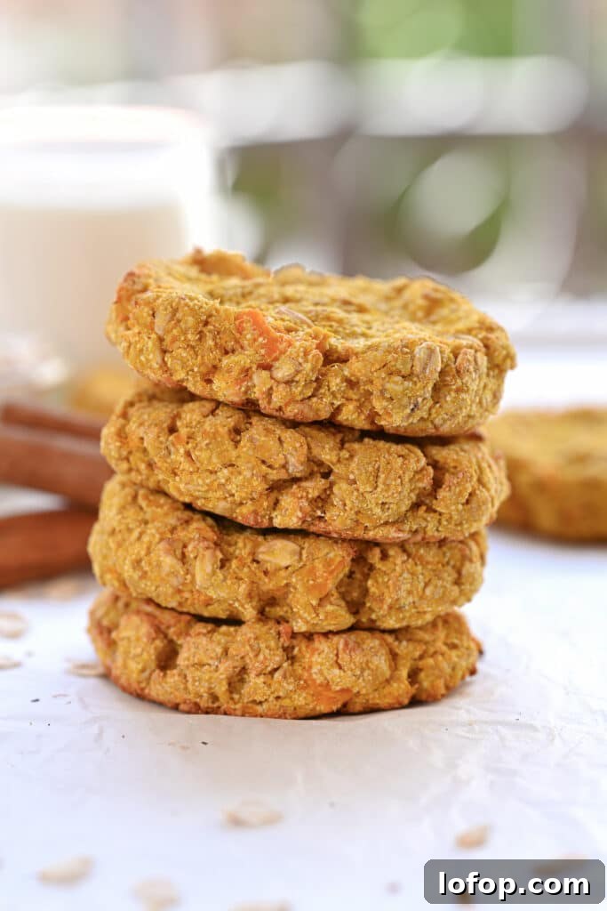 3 Ingredient Pumpkin Oat Cookies