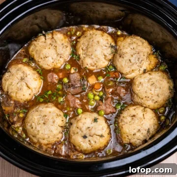 Slow Cooker Beef Stew with eight Dumplings on top