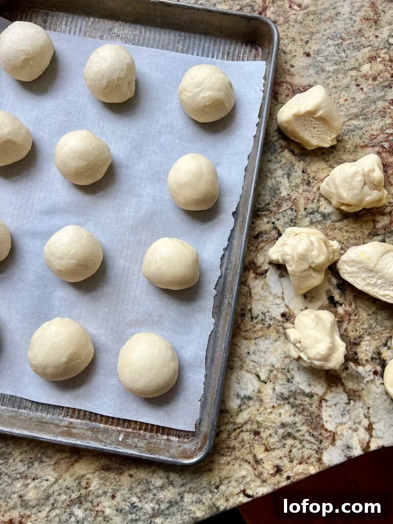 Smooth dough balls for sourdough kolaches arranged on a parchment-lined baking sheet.