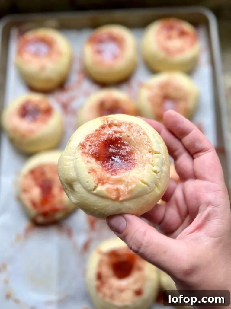 Freshly baked sourdough kolache with fruit filling held in hand above a baking sheet.