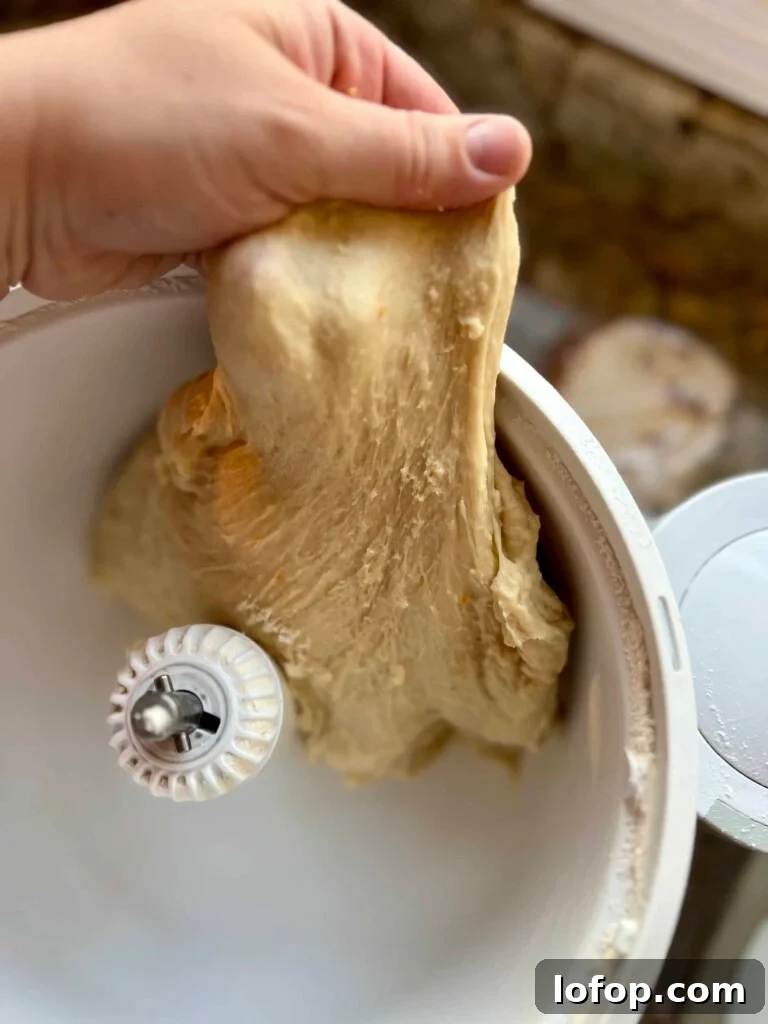 Stretchy enriched kolache dough being lifted from a mixer bowl.
