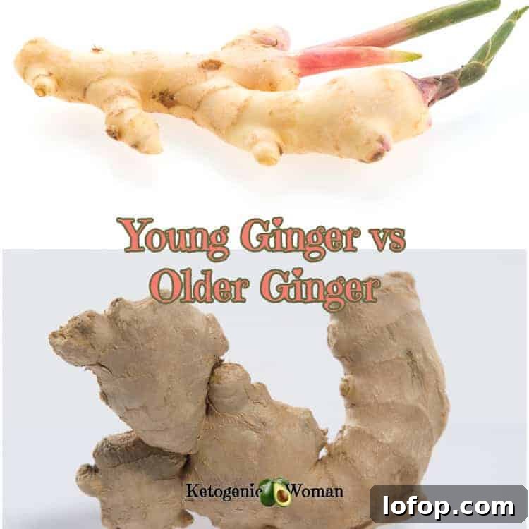 Keto Sugar-Free Pickled Ginger Recipe for Sushi Rolls 4 Young Ginger and old ginger to show the difference