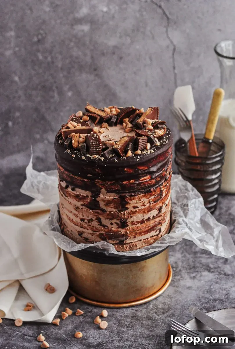 Dairy-Free Peanut Butter Chocolate Cake with Gluten-Free Option 3 A chocolate cake covered in a rustic dark chocolate ganache and topped with chocolates and peanuts